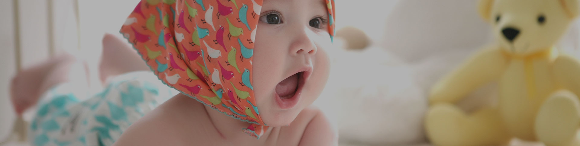 寶拾貳·電子商務(wù)平臺|一網(wǎng)天行-網(wǎng)站建設(shè)小程序APP系統(tǒng)軟件開發(fā)公司