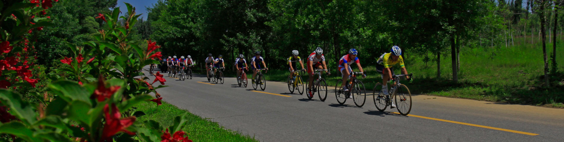 京西北旅游宣傳網(wǎng)站|一網(wǎng)天行-網(wǎng)站建設(shè)小程序APP系統(tǒng)軟件開發(fā)公司