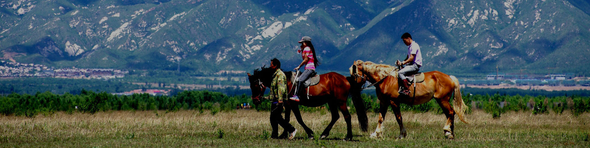 京西北旅游-微信H5展示平臺|一網天行-網站建設小程序APP系統(tǒng)軟件開發(fā)公司